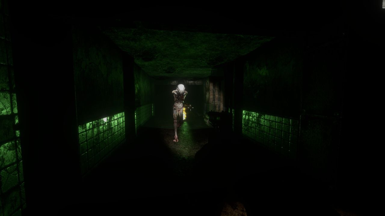 Phantasmal Survival Horror Roguelike torrent oyun indir 6