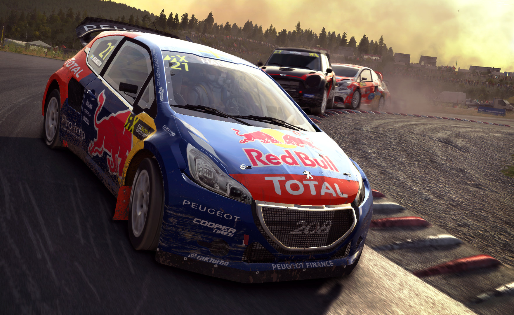 dirt rally pc indir10