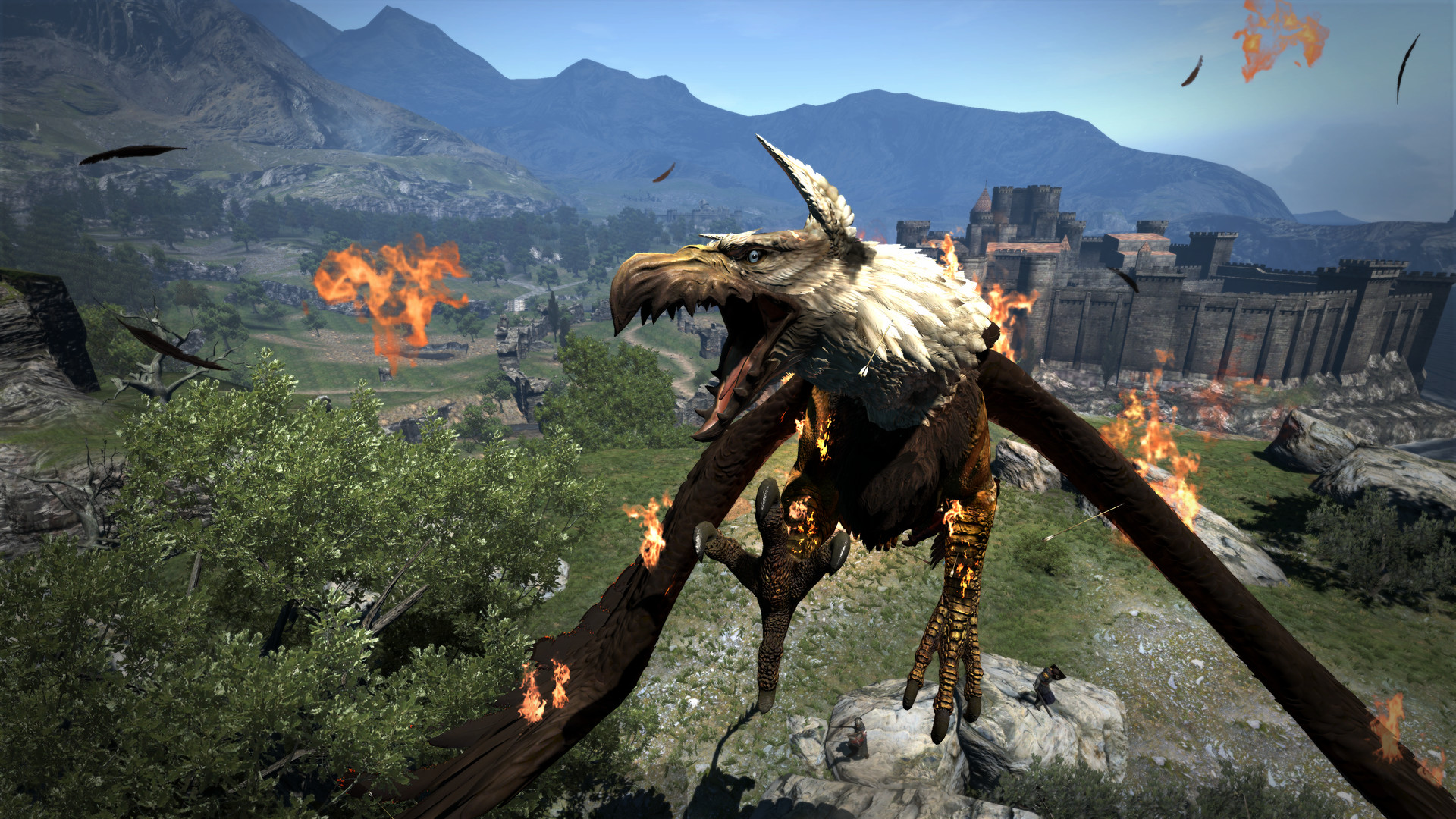 dragons dogma dark arisen pc torrent 6