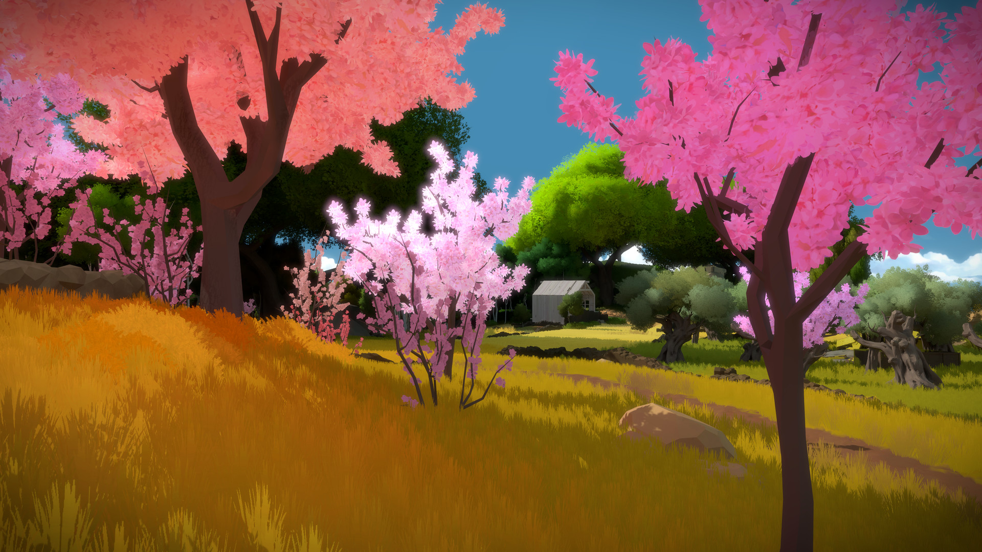 the witness torrent 5