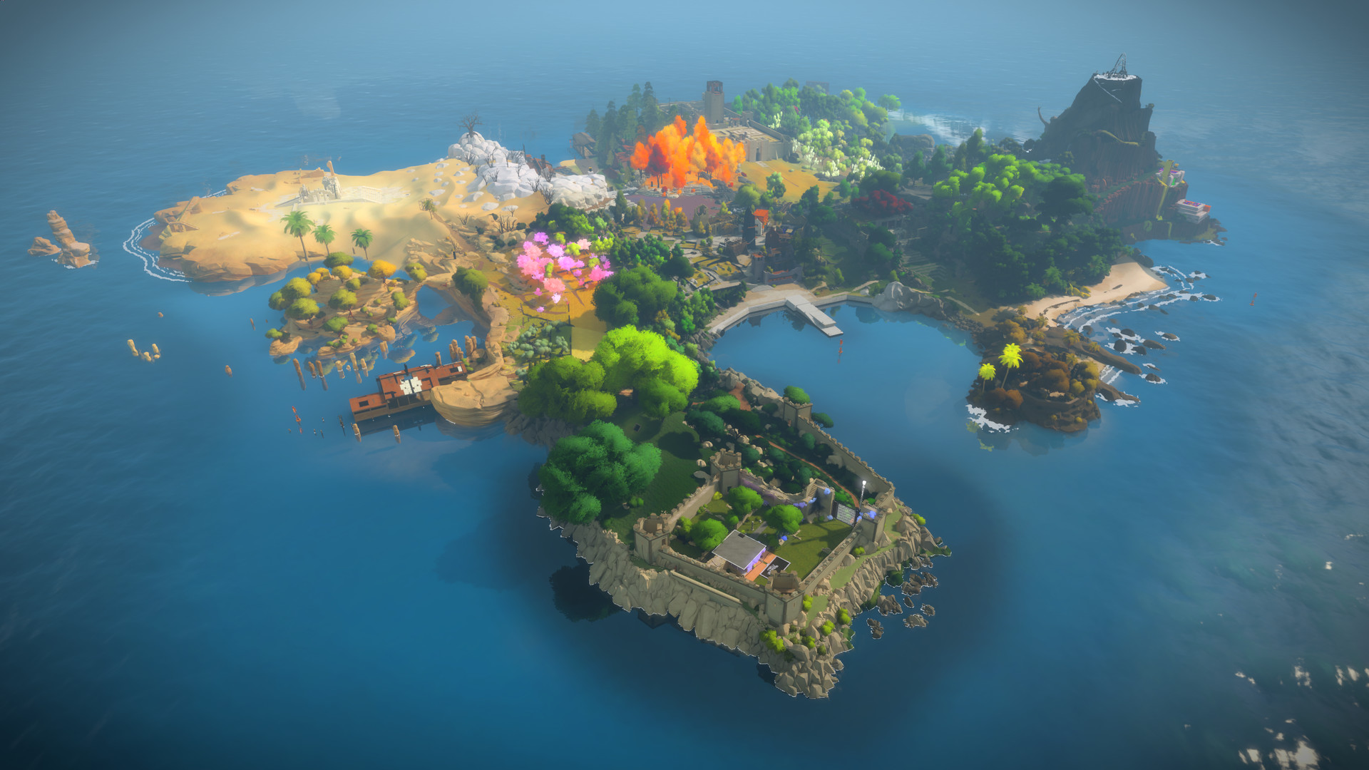 the witness torrent 6