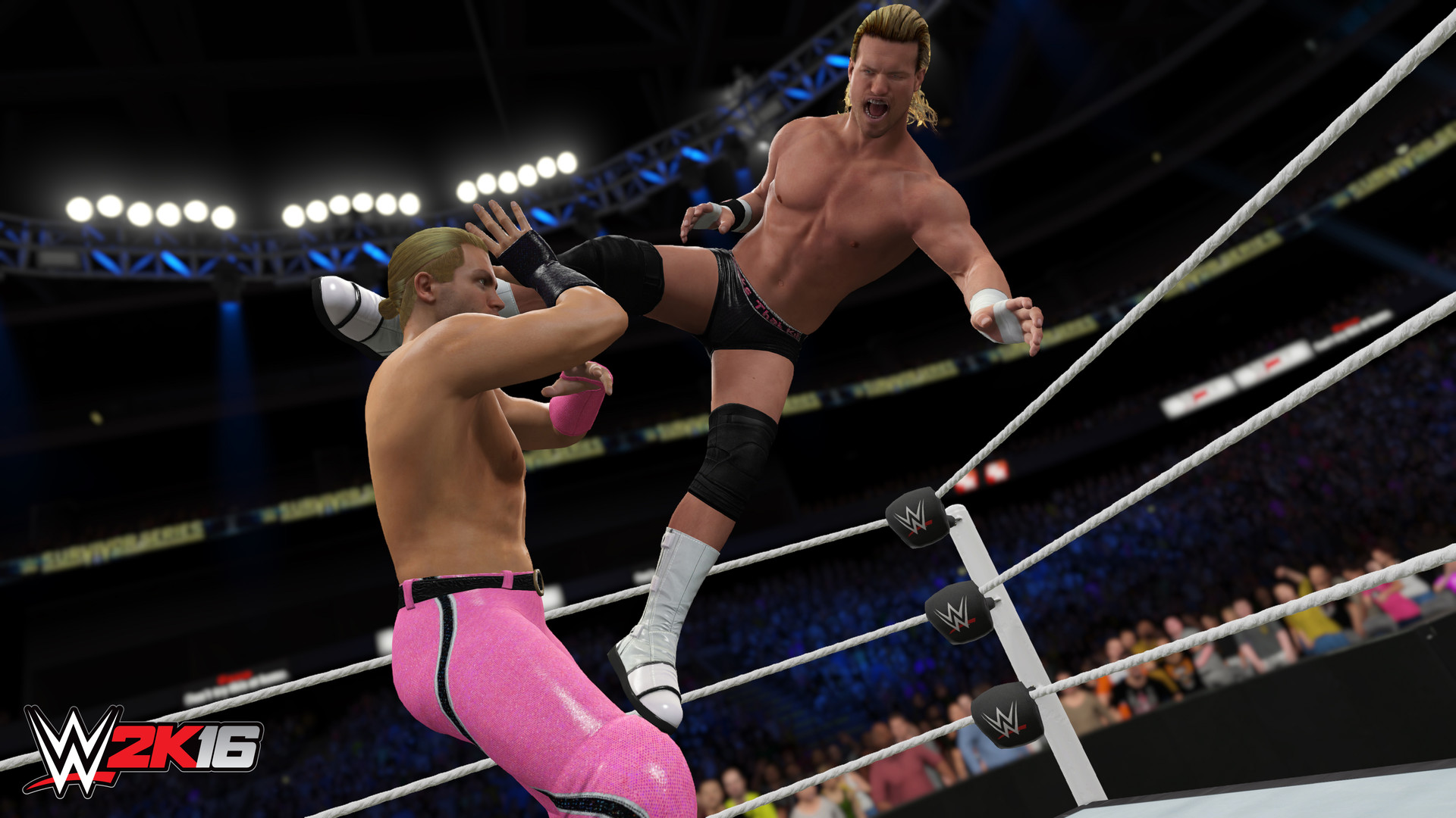 wwe 2k16 pc torrent oyun 12