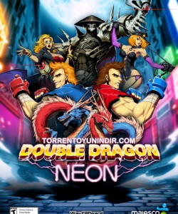 Double Dragon: Neon