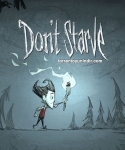 Don't Starve