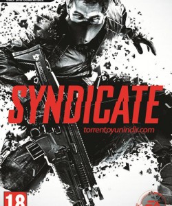 Syndicate