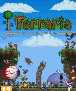 Terraria indir