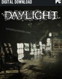 Daylight