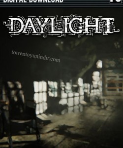 Daylight