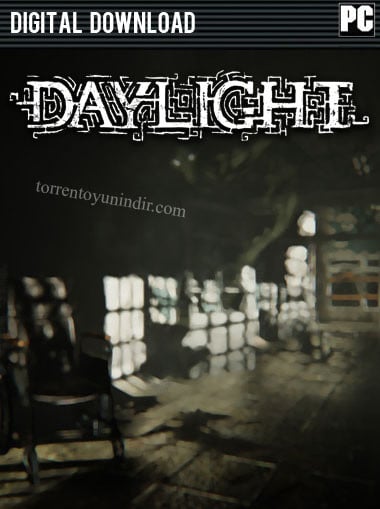 Daylight