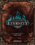 Pillars of Eternity torrent indir