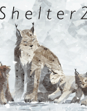 Shelter 2 indir