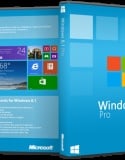 Microsoft Windows 8.1 Professional x64 WMC indir