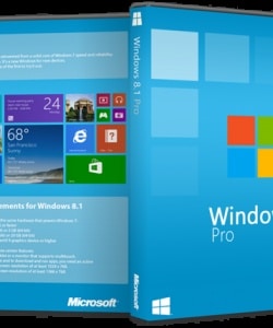 Microsoft Windows 8.1 Professional x64 WMC indir