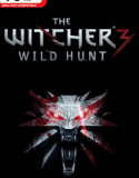 The Witcher 3 Wild Hunt