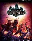 Pillars of Eternity MULTi8 indir