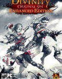 Divinity Original Sin Enhanced Edition indir