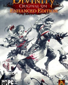 Divinity Original Sin Enhanced Edition indir