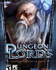 Dungeon Lords Steam Edition indir