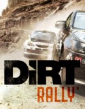 DiRT Rally pc indir