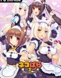 NEKOPARA Vol 2 indir