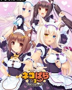 NEKOPARA Vol 2 indir