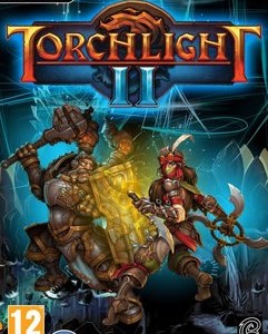 Torchlight 2 pc full indir