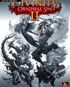 Divinity Original Sin 2 FULL İNDİR