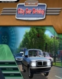 City Car Driving Full indir