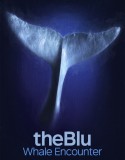 theBlu PC Vr İndir