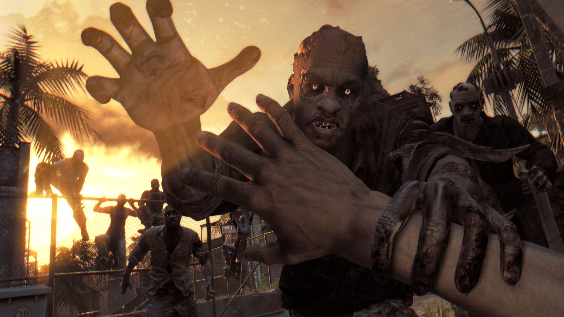 dying light the following enhanced edition pc 4