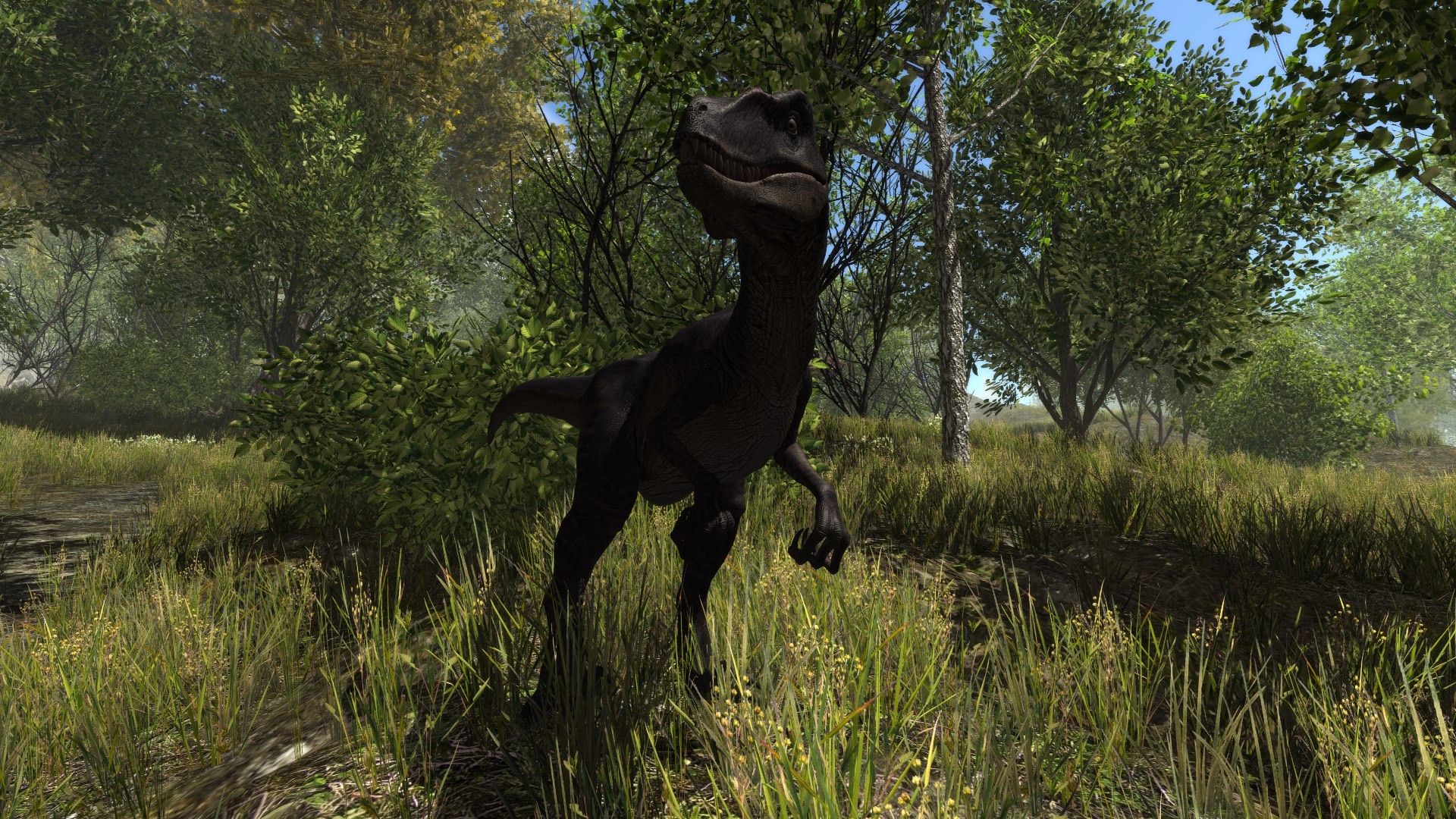 dinosaur forest pc 2