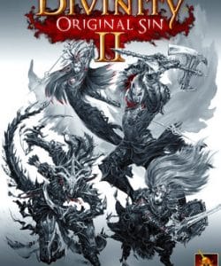 Divinity Original Sin 2 İndir