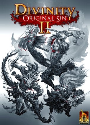 Divinity Original Sin 2 İndir