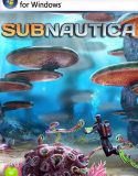 Subnautica Full Türkçe İndir