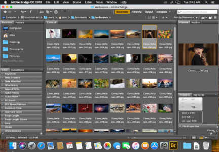 adobe bridge cc 2018 indir e28093 full turkce winmac 1