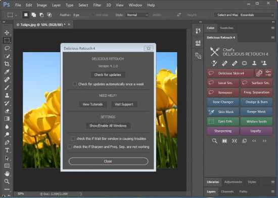 delicious retouch indir full 4.1.0 adobe photoshop 1