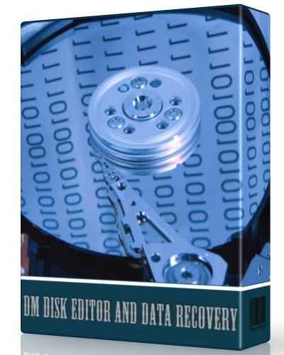 dm disk editor and data recovery indir e28093 full 3.4.4.740 0