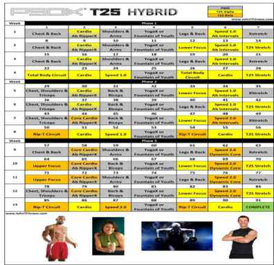 hybrid p90x insanity egitim seti indir torrent 1