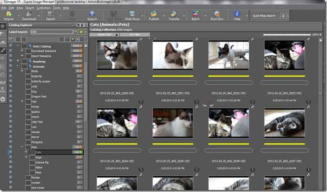 idimager photo supreme full v4.3.0.1755c2a0indir 2