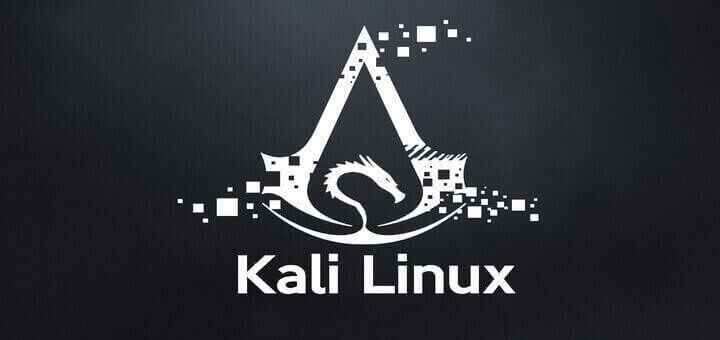 kali linux 2018 full indir e28093 x64