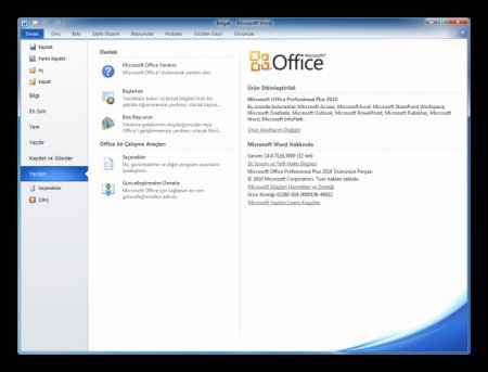 Microsoft office 2010 türkçe indir