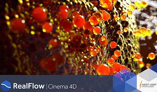 nextlimit realflow cinema 4d full v2.6.5.0095 indir 0