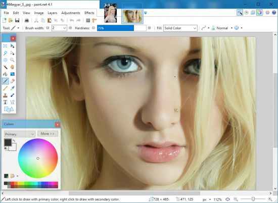 paint.net indir e28093 full turkce v4.1.4 1