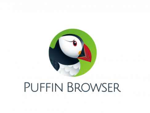 Puffin Browser for Windows Full İndir – PC Hızlı Tarayıcı