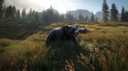 thehunter call of the wild indir e28093 full 15 dlc v1.25 2