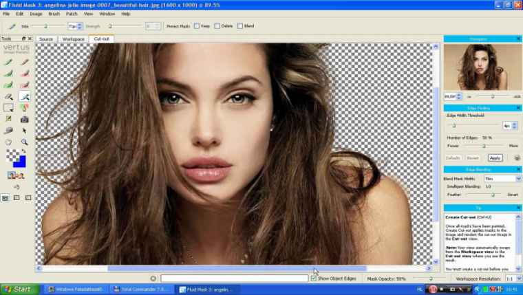 vertus fluid mask indir e28093 full v3.3.18.17091 1