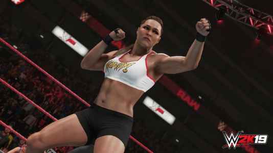 wwe 2k19 deluxe edition indir e28093 full pc torrent tek link 1