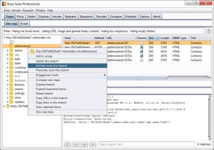 Burp Suite Professional