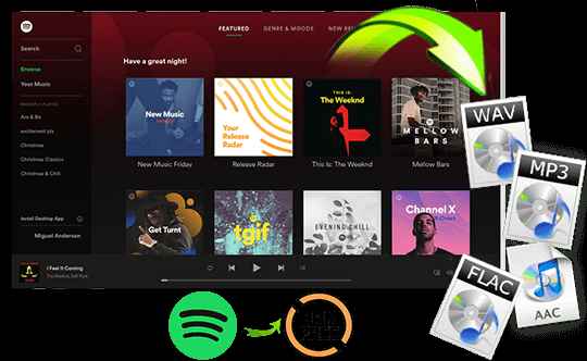 UkeySoft Spotify Music Converter 1 3