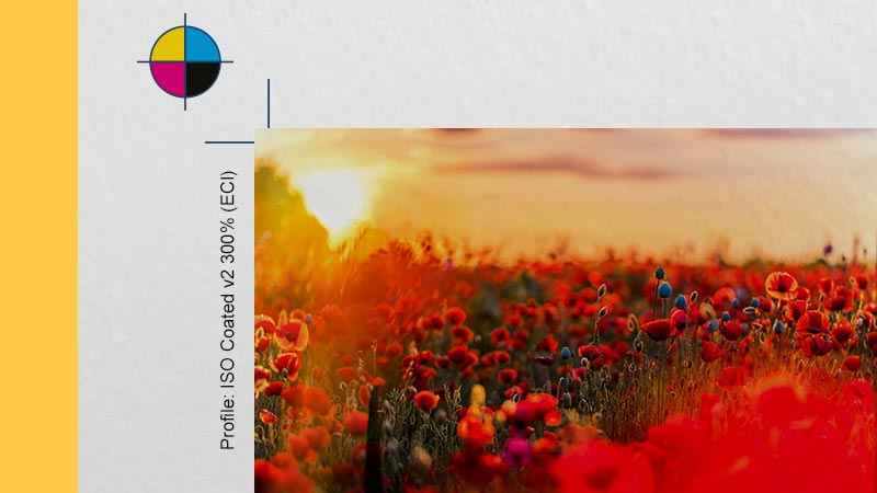 AquaSoft SlideShow Premium 11.8.04 1 2